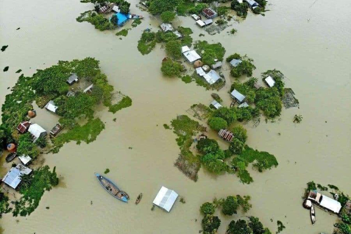 WhatsApp Image 2024-08-29 at 14.43.22